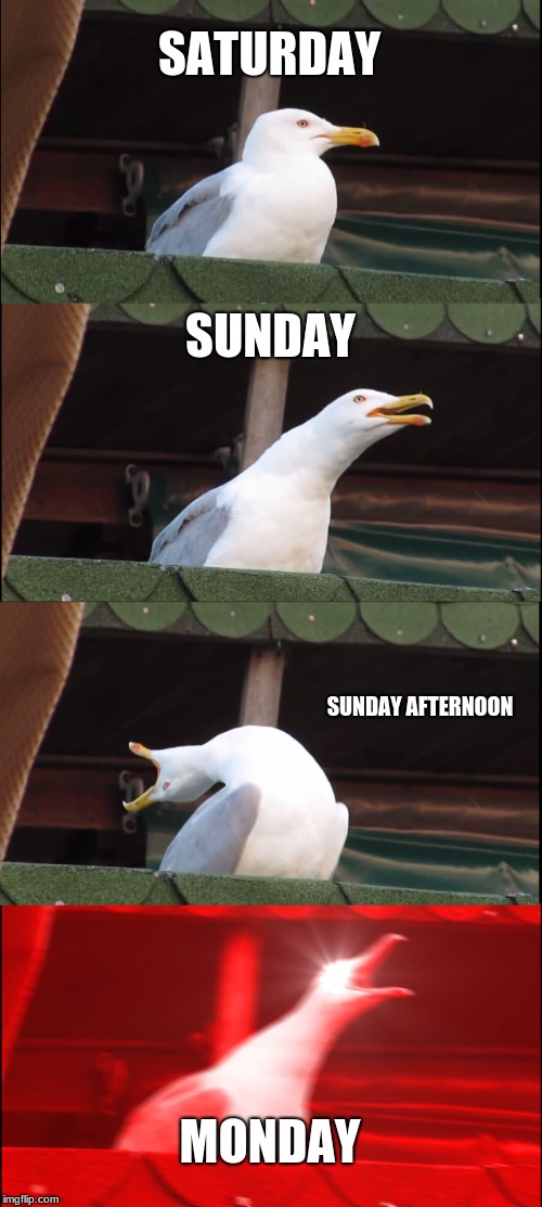 Inhaling Seagull | SATURDAY; SUNDAY; SUNDAY AFTERNOON; MONDAY | image tagged in memes,inhaling seagull | made w/ Imgflip meme maker