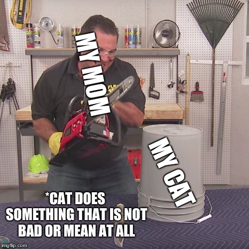 Flex Seal Chainsaw | MY MOM; MY CAT; *CAT DOES SOMETHING THAT IS NOT BAD OR MEAN AT ALL | image tagged in flex seal chainsaw | made w/ Imgflip meme maker