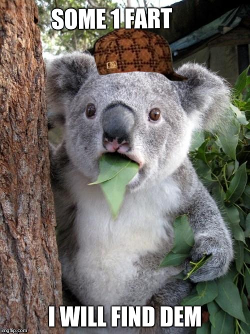 every one i no | SOME 1 FART; I WILL FIND DEM | image tagged in memes,surprised koala,scumbag | made w/ Imgflip meme maker