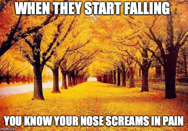 Autumn trees | WHEN THEY START FALLING; YOU KNOW YOUR NOSE SCREAMS IN PAIN | image tagged in autumn trees | made w/ Imgflip meme maker