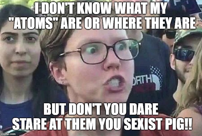 Triggered Liberal | I DON'T KNOW WHAT MY "ATOMS" ARE OR WHERE THEY ARE BUT DON'T YOU DARE STARE AT THEM YOU SEXIST PIG!! | image tagged in triggered liberal | made w/ Imgflip meme maker