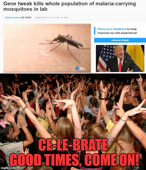 This is God in action | CE-LE-BRATE GOOD TIMES, COME ON! | image tagged in memes,funny,good news,mosquitoes,news | made w/ Imgflip meme maker