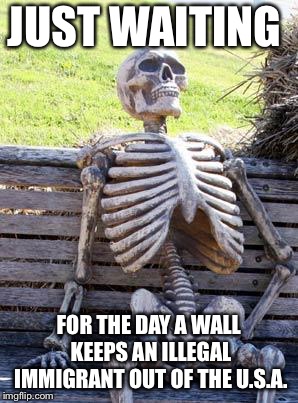 Waiting Skeleton | JUST WAITING; FOR THE DAY A WALL KEEPS AN ILLEGAL IMMIGRANT OUT OF THE U.S.A. | image tagged in memes,waiting skeleton | made w/ Imgflip meme maker