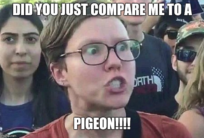 Triggered snowflake | DID YOU JUST COMPARE ME TO A PIGEON!!!! | image tagged in triggered snowflake | made w/ Imgflip meme maker