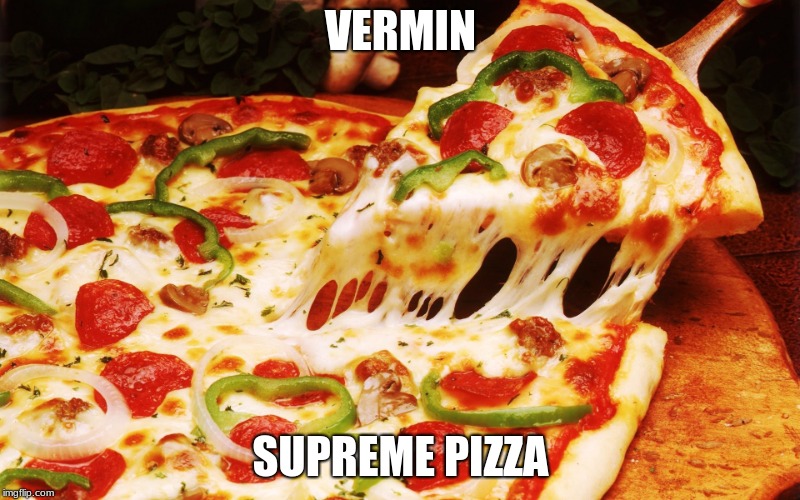 VERMIN SUPREME PIZZA | made w/ Imgflip meme maker