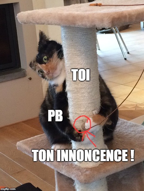 TOI; PB; TON INNONCENCE ! | made w/ Imgflip meme maker
