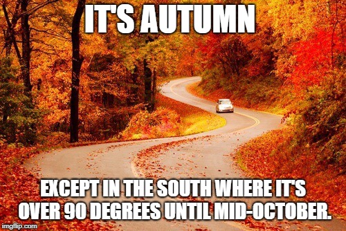 Autumn road | IT'S AUTUMN; EXCEPT IN THE SOUTH WHERE IT'S OVER 90 DEGREES UNTIL MID-OCTOBER. | image tagged in autumn road | made w/ Imgflip meme maker