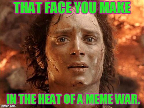 The memers struggle. LOL | THAT FACE YOU MAKE; IN THE HEAT OF A MEME WAR. | image tagged in memes,its finally over,nixieknox | made w/ Imgflip meme maker