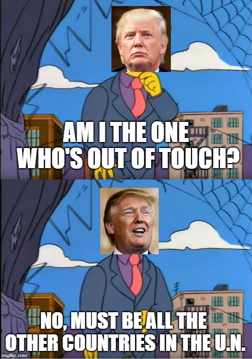 Skinner Out Of Touch | AM I THE ONE WHO'S OUT OF TOUCH? NO, MUST BE ALL THE OTHER COUNTRIES IN THE U.N. | image tagged in skinner out of touch | made w/ Imgflip meme maker