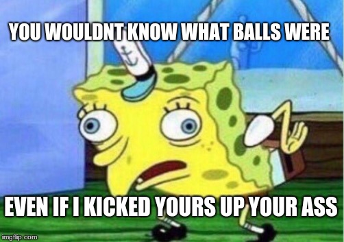 Mocking Spongebob | YOU WOULDNT KNOW WHAT BALLS WERE; EVEN IF I KICKED YOURS UP YOUR ASS | image tagged in memes,mocking spongebob | made w/ Imgflip meme maker