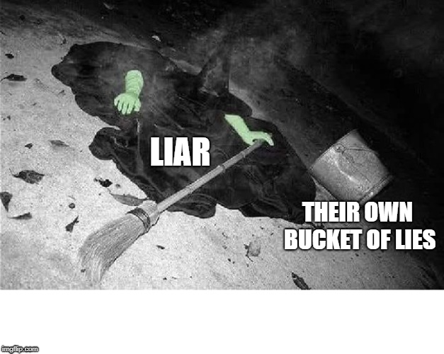 Bucket of Lies | LIAR; THEIR OWN BUCKET OF LIES | image tagged in melted witch,liars,slander,self destruction,you can't handle the truth,truth hurts | made w/ Imgflip meme maker