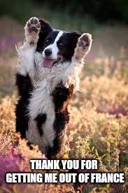 Border Collie High Five | THANK YOU FOR GETTING ME OUT OF FRANCE | image tagged in border collie high five | made w/ Imgflip meme maker