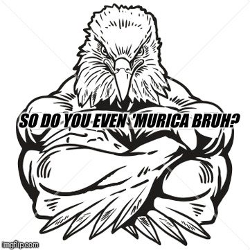 'MURICA BRUH? SO DO YOU EVEN | image tagged in 'murica | made w/ Imgflip meme maker