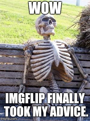 They finally added that search bar. | WOW; IMGFLIP FINALLY TOOK MY ADVICE. | image tagged in memes,waiting skeleton | made w/ Imgflip meme maker