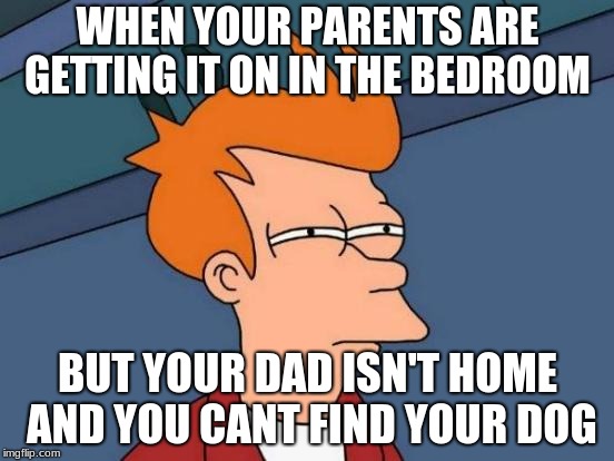 Futurama Fry Meme | WHEN YOUR PARENTS ARE GETTING IT ON IN THE BEDROOM; BUT YOUR DAD ISN'T HOME AND YOU CANT FIND YOUR DOG | image tagged in memes,futurama fry | made w/ Imgflip meme maker