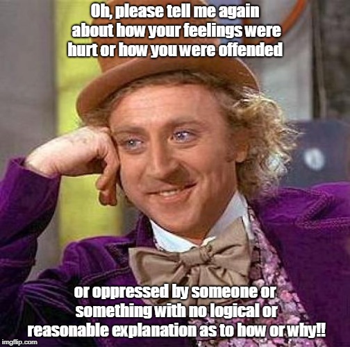 Creepy Condescending Wonka Meme | Oh, please tell me again about how your feelings were hurt or how you were offended; or oppressed by someone or something with no logical or reasonable explanation as to how or why!! | image tagged in memes,creepy condescending wonka | made w/ Imgflip meme maker