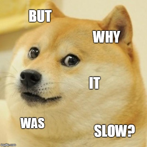 BUT WHY IT WAS SLOW? | image tagged in memes,doge | made w/ Imgflip meme maker