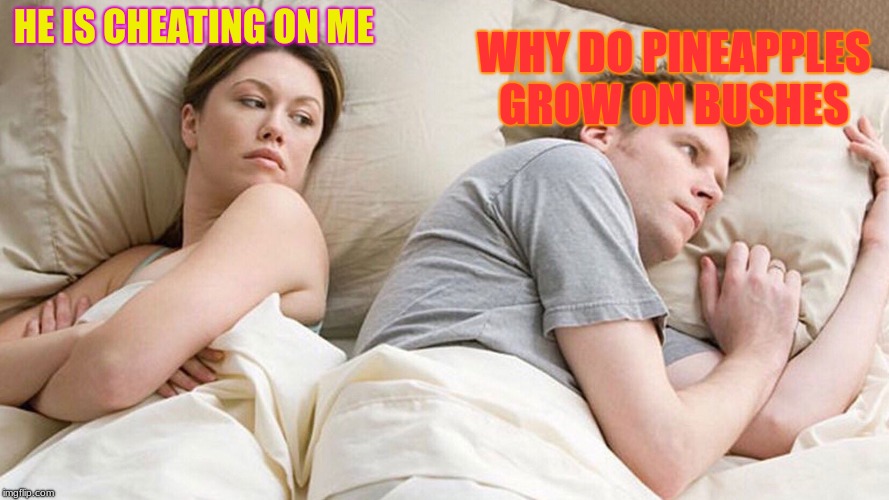 He's probably thinking about girls | WHY DO PINEAPPLES GROW ON BUSHES; HE IS CHEATING ON ME | image tagged in he's probably thinking about girls | made w/ Imgflip meme maker