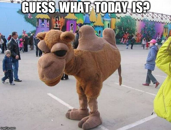 GUESS  WHAT  TODAY  IS? | image tagged in hump day | made w/ Imgflip meme maker