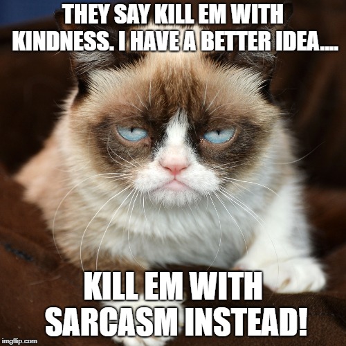 sarcasm | THEY SAY KILL EM WITH KINDNESS. I HAVE A BETTER IDEA.... KILL EM WITH SARCASM INSTEAD! | image tagged in sarcasm | made w/ Imgflip meme maker