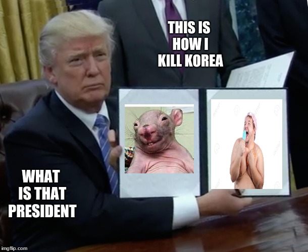 Trump Bill Signing | THIS IS HOW I KILL KOREA; WHAT IS THAT PRESIDENT | image tagged in memes,trump bill signing | made w/ Imgflip meme maker