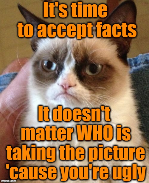 Grumpy Cat Meme | It's time to accept facts It doesn't matter WHO is taking the picture 'cause you're ugly | image tagged in memes,grumpy cat | made w/ Imgflip meme maker