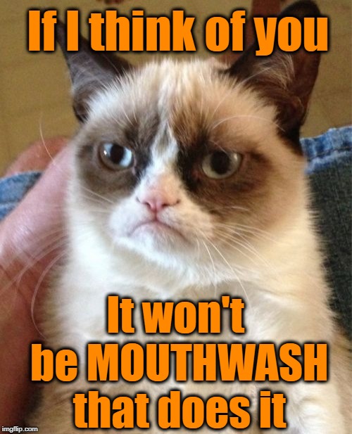 Grumpy Cat Meme | If I think of you It won't be MOUTHWASH that does it | image tagged in memes,grumpy cat | made w/ Imgflip meme maker