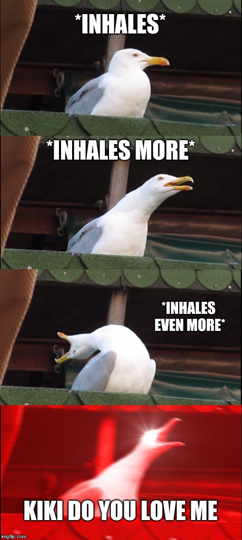 Inhaling Seagull Meme | *INHALES*; *INHALES MORE*; *INHALES EVEN MORE*; KIKI DO YOU LOVE ME | image tagged in memes,inhaling seagull | made w/ Imgflip meme maker