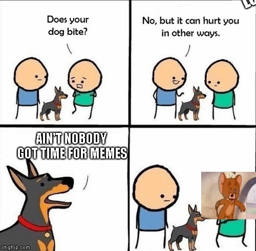 bro? | LOL; AIN'T NOBODY GOT TIME FOR MEMES | image tagged in does your dog bite | made w/ Imgflip meme maker