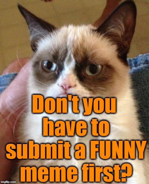 Grumpy Cat Meme | Don't you have to submit a FUNNY meme first? | image tagged in memes,grumpy cat | made w/ Imgflip meme maker