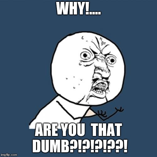 Y U No | WHY!.... ARE YOU  THAT DUMB?!?!?!??! | image tagged in memes,y u no | made w/ Imgflip meme maker