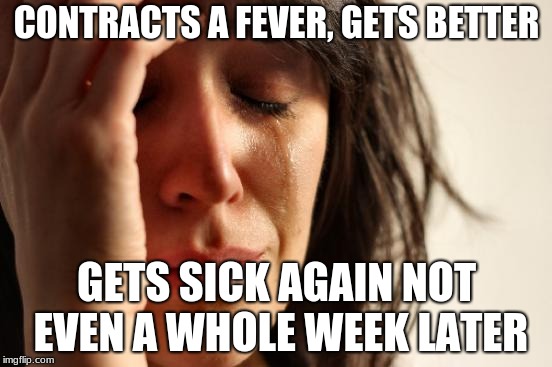 welp, I have another fever again...  | CONTRACTS A FEVER, GETS BETTER; GETS SICK AGAIN NOT EVEN A WHOLE WEEK LATER | image tagged in memes,first world problems | made w/ Imgflip meme maker