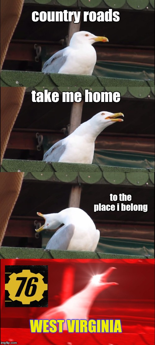 Inhaling Seagull Meme | country roads; take me home; to the place i belong; WEST VIRGINIA | image tagged in memes,inhaling seagull | made w/ Imgflip meme maker