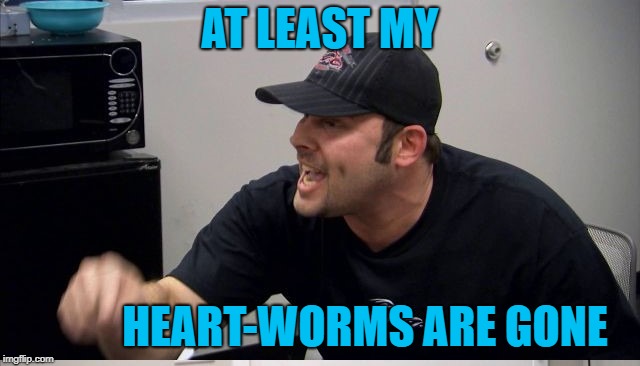 AT LEAST MY HEART-WORMS ARE GONE | made w/ Imgflip meme maker