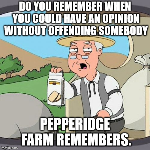 Pepperidge Farm Remembers | DO YOU REMEMBER WHEN YOU COULD HAVE AN OPINION WITHOUT OFFENDING SOMEBODY; PEPPERIDGE FARM REMEMBERS. | image tagged in memes,pepperidge farm remembers | made w/ Imgflip meme maker
