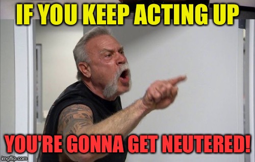 IF YOU KEEP ACTING UP YOU'RE GONNA GET NEUTERED! | made w/ Imgflip meme maker