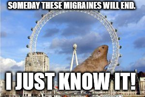 Giant Hamster Wheel | SOMEDAY THESE MIGRAINES WILL END. I JUST KNOW IT! | image tagged in giant hamster wheel | made w/ Imgflip meme maker