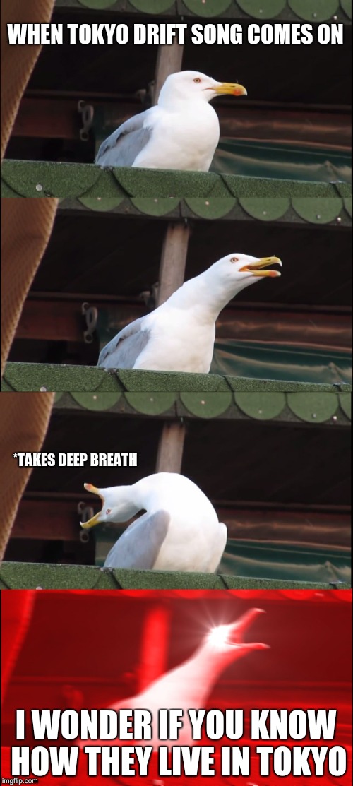 Inhaling Seagull Meme | WHEN TOKYO DRIFT SONG COMES ON; *TAKES DEEP BREATH; I WONDER IF YOU KNOW HOW THEY LIVE IN TOKYO | image tagged in memes,inhaling seagull | made w/ Imgflip meme maker