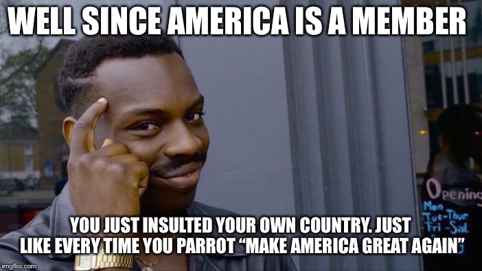 Roll Safe Think About It Meme | WELL SINCE AMERICA IS A MEMBER YOU JUST INSULTED YOUR OWN COUNTRY. JUST LIKE EVERY TIME YOU PARROT “MAKE AMERICA GREAT AGAIN” | image tagged in memes,roll safe think about it | made w/ Imgflip meme maker