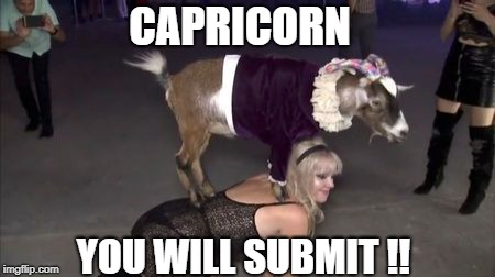 CAPRICORN; YOU WILL SUBMIT !! | image tagged in goat | made w/ Imgflip meme maker
