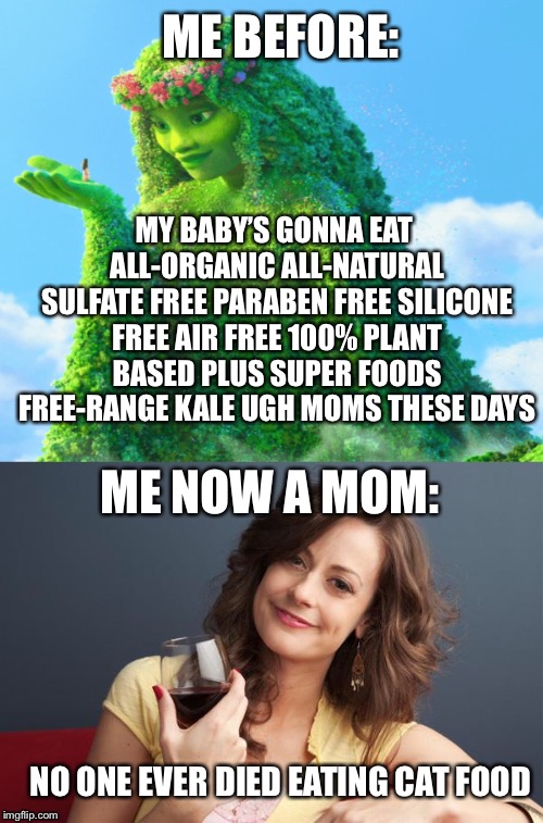 ME BEFORE:; MY BABY’S GONNA EAT ALL-ORGANIC ALL-NATURAL SULFATE FREE PARABEN FREE SILICONE FREE AIR FREE 100% PLANT BASED PLUS SUPER FOODS FREE-RANGE KALE UGH MOMS THESE DAYS; ME NOW A MOM:; NO ONE EVER DIED EATING CAT FOOD | image tagged in forever resentful mother,moana | made w/ Imgflip meme maker