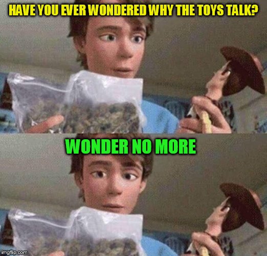 HAVE YOU EVER WONDERED WHY THE TOYS TALK? WONDER NO MORE | made w/ Imgflip meme maker