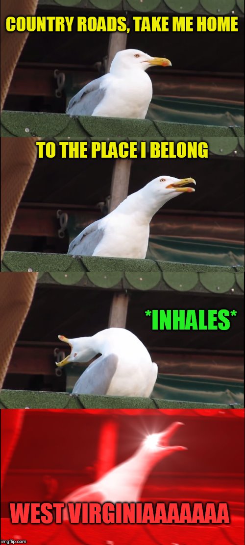 Inhaling Seagull | COUNTRY ROADS, TAKE ME HOME; TO THE PLACE I BELONG; *INHALES*; WEST VIRGINIAAAAAAA | image tagged in memes,inhaling seagull | made w/ Imgflip meme maker