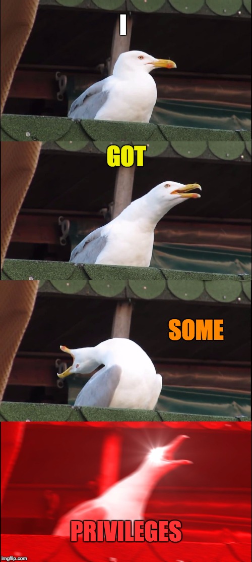 Inhaling Seagull | I; GOT; SOME; PRIVILEGES | image tagged in memes,inhaling seagull | made w/ Imgflip meme maker