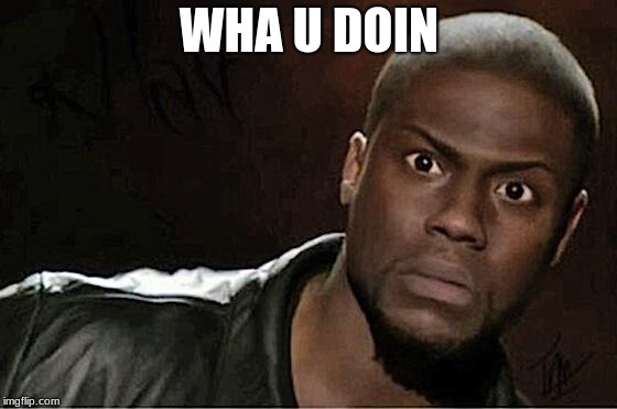 Kevin Hart | WHA U DOIN | image tagged in memes,kevin hart | made w/ Imgflip meme maker