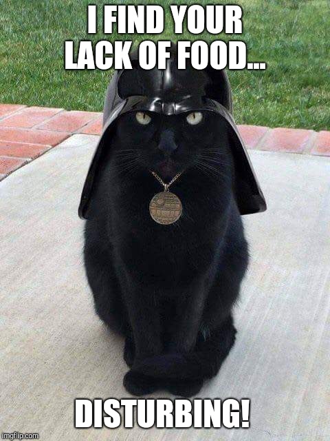 I FIND YOUR LACK OF FOOD... DISTURBING! | image tagged in darth meow | made w/ Imgflip meme maker
