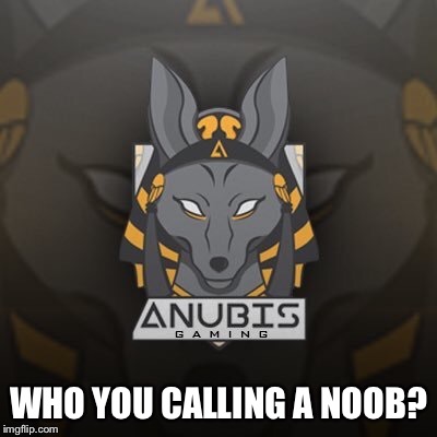 WHO YOU CALLING A NOOB? | made w/ Imgflip meme maker