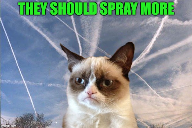 THEY SHOULD SPRAY MORE | made w/ Imgflip meme maker