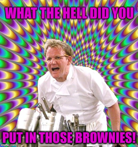Spiked Brownies  |  WHAT THE HELL DID YOU; PUT IN THOSE BROWNIES! | image tagged in funny memes,angry chef gordon ramsay,tripping,high | made w/ Imgflip meme maker