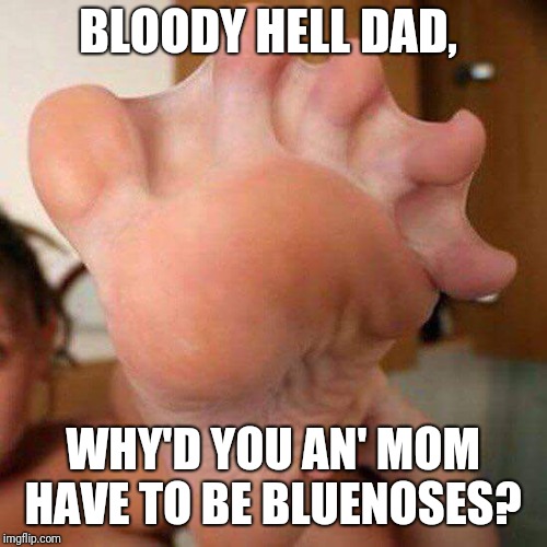 BLOODY HELL DAD, WHY'D YOU AN' MOM HAVE TO BE BLUENOSES? | image tagged in blues kid | made w/ Imgflip meme maker
